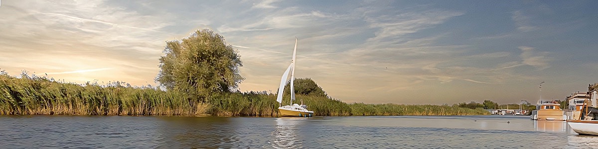 Martham Norfolk
